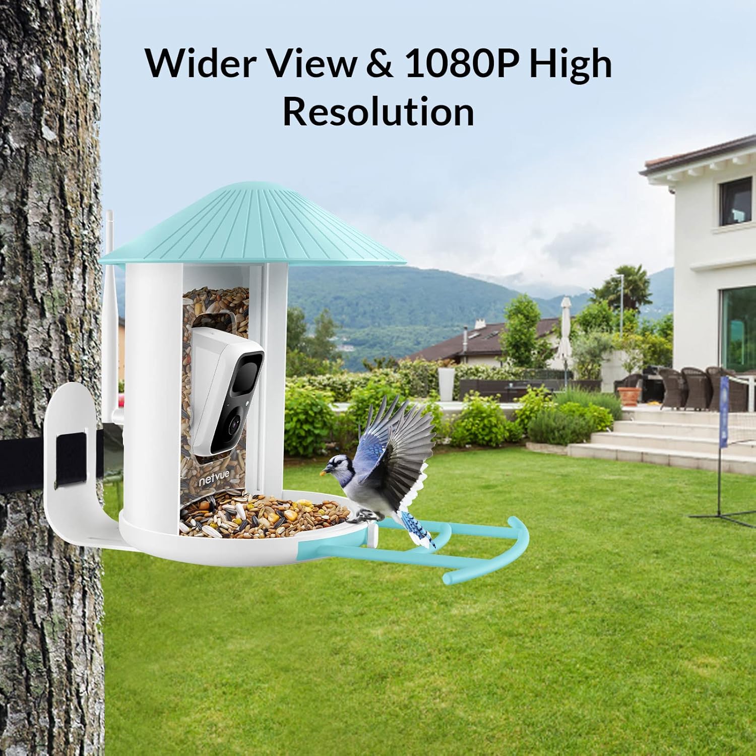NETVUE Birdfy Solar Camera with Humming Bird Feeder Extension Perch