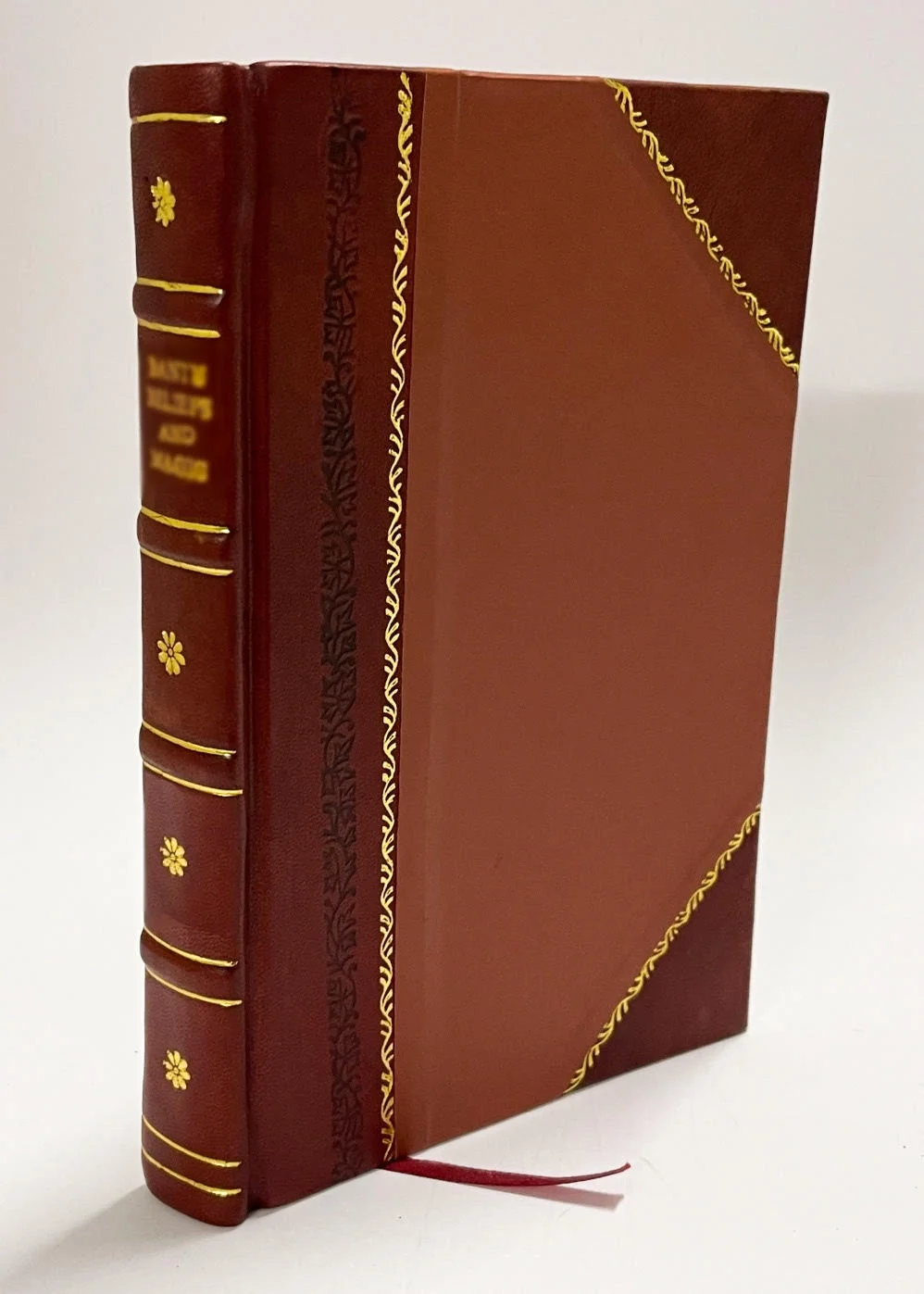 A Biblia Sagrada Contendo O Velho E O Novo Testamento, Traduzida Em Portuguez / Joao Ferreira D ' Almeida (1850) (1850) [Leather Bound]