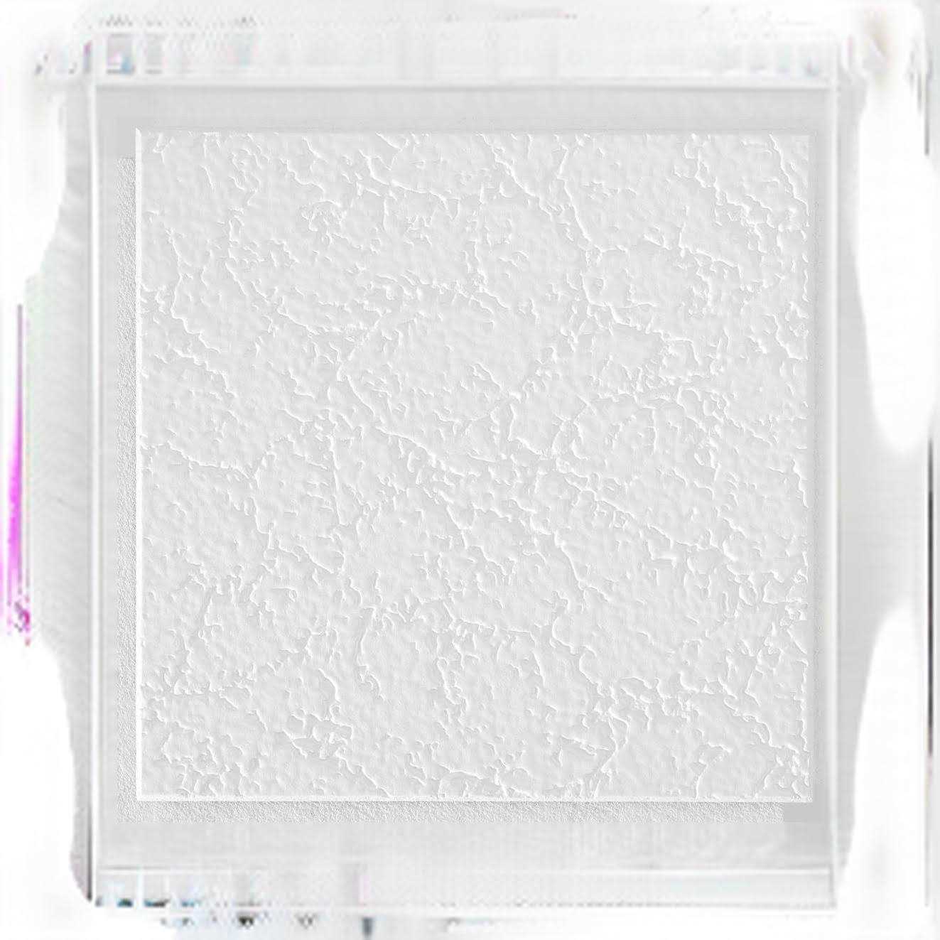 Armstrong 12 x 12-Inch White Textured Grenoble Ceiling - Shop Hardware Tools Online Store