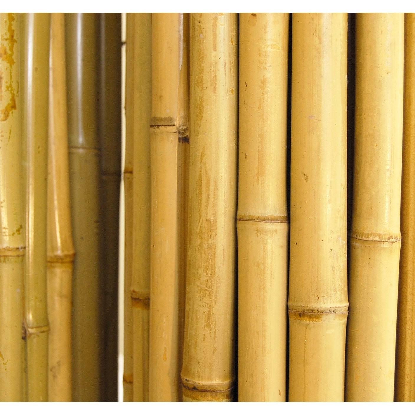 Backyard X-Scapes Bamboo Fencing, Natural