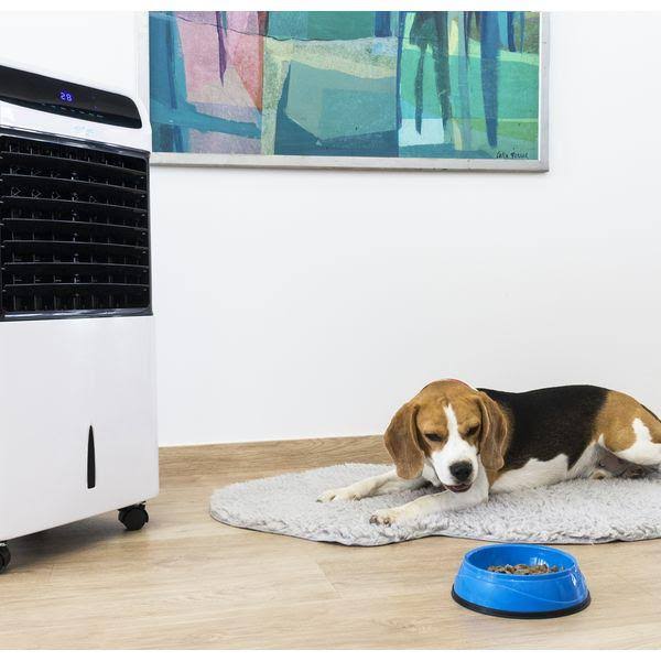 Portable Evaporative Air Cooler Cecotec Forcesilence PureTech 6500 White