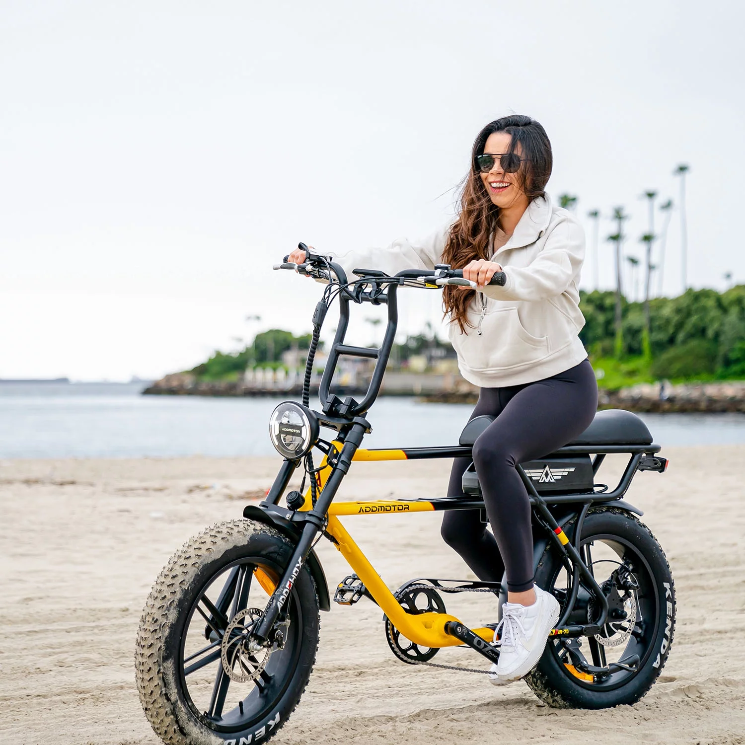 Addmotor Electric Bike for Adult 750W 20" Electric Moped Style Bike, 20AH 48V Electric Bicycle Fat Tire Electric Beach Cruiser, M-70