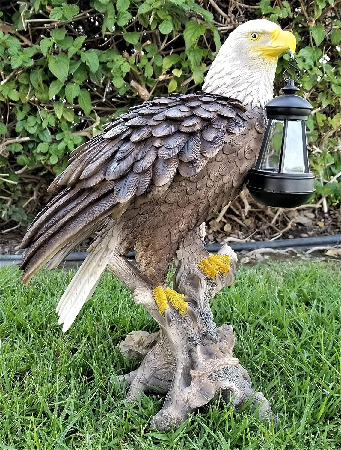 Solar American Bald Eagle Statue with Solar Light-EA