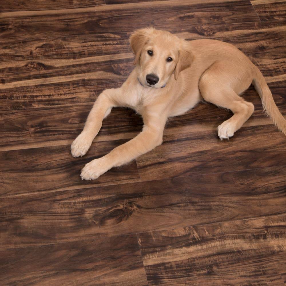 Cali Vinyl Pro Classic Walnut Creek 7.12 in. W x 48 in. L Waterproof Luxury Vinyl Plank Flooring (23.77 Sq. ft)