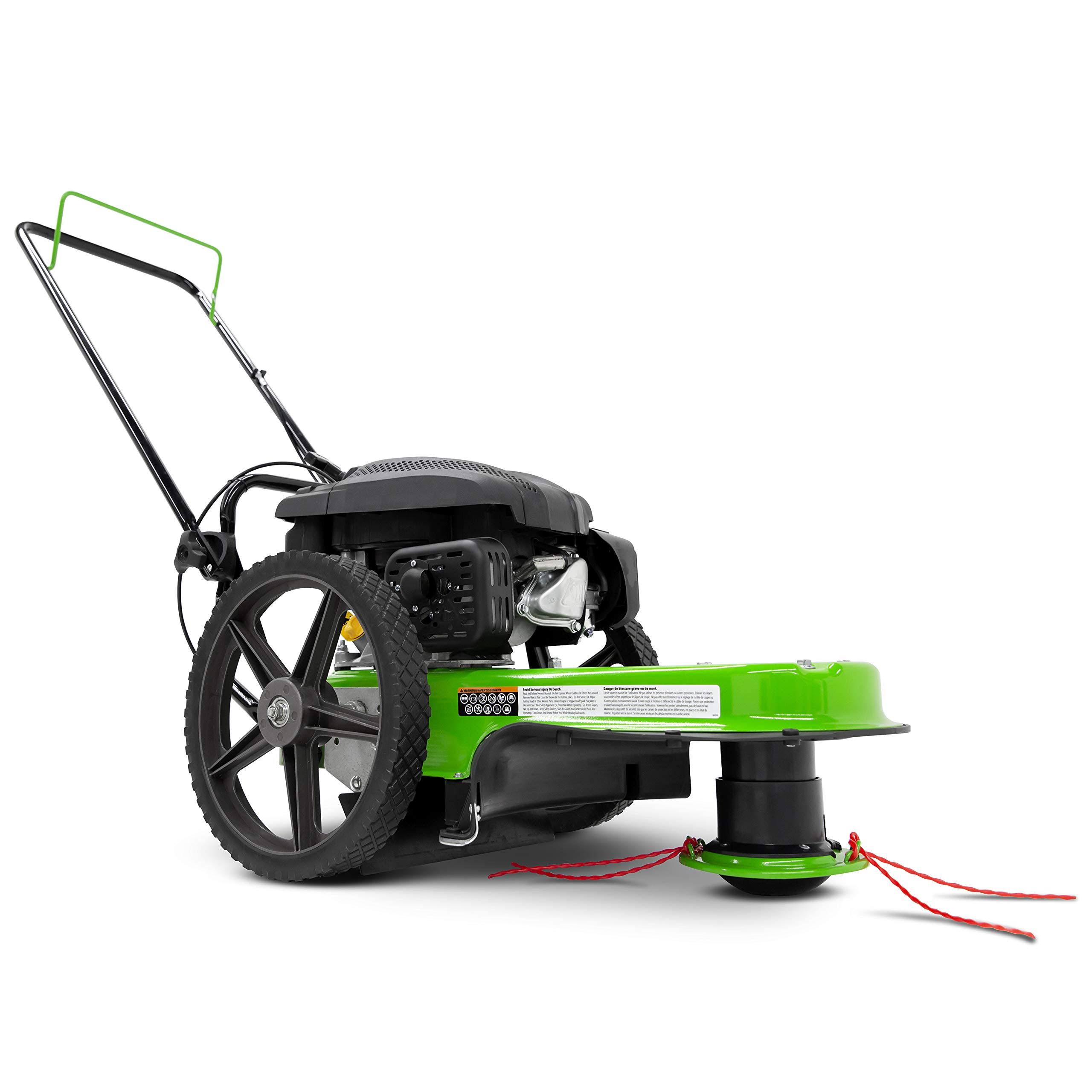 Tazz One-Piece Steel Deck, 22” Cutting Swath, Never Kill, Fold Down Handlebars 35258 Walk-Behind String Mower/Trimmer, 150cc 4-C