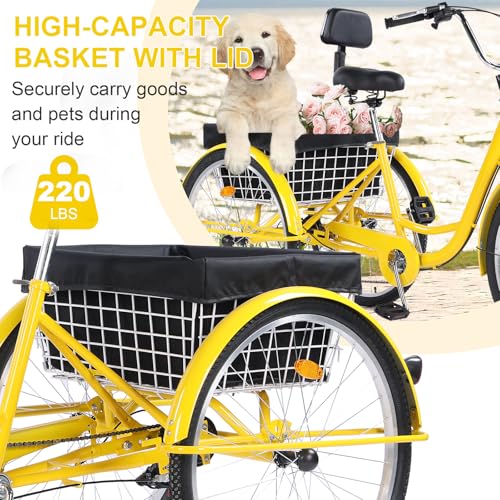 Versatile 24/26-Inch 3-Wheel Adult Tricycle with 7-Speed Gearing and Spacious Basket for Comfortable Riding and Storage for Recreation, Shopping, Picnics