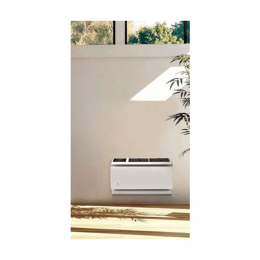 Friedrich Air Conditioning B2217126 9800 BTU Cool, 115V WallMaster WCT10A10A Wall Air Conditioner