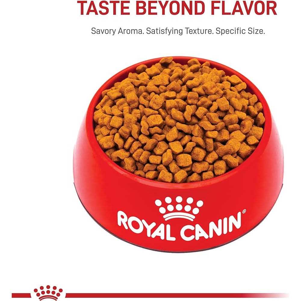 Royal Canin Breed Health Nutrition Boxer Puppy Dry Dog Food - Pet Supplies online store