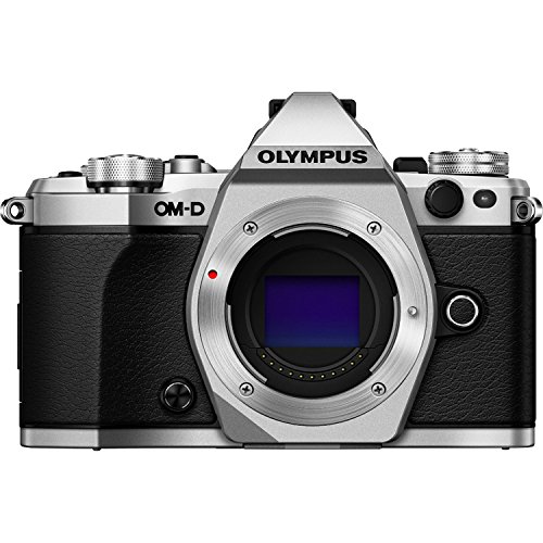 OM SYSTEM OLYMPUS OM-D E-M5 Mark II (Silver) (Body Only)