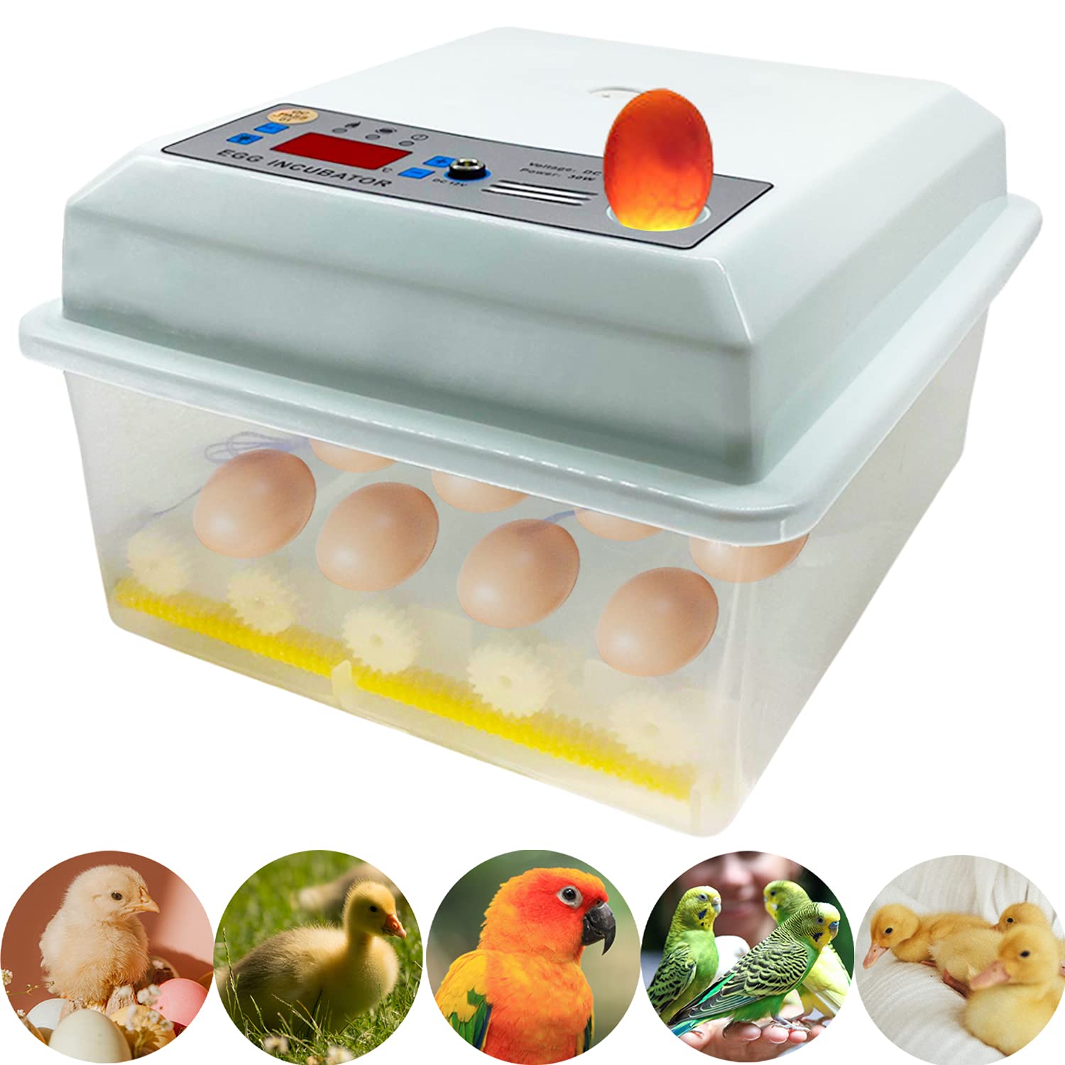 Eggs Incubator for Hatching with Automatic Turner, Digital Hatcher Machine with Temperature Humidity Control & LED Candler Tester for Chicken, Ducks, Quail, Pigeon, Goose, Parrot, Bird Eggs (16 Eggs)