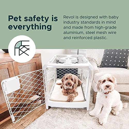 Diggs Revol Dog Crate (Collapsible Dog Crate, Portable Dog Crate, Travel Dog Crate, Dog Kennel) for Large Dogs and Puppies (Ash)