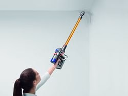 Dyson V8 Absolute Cordless Vacuum | Yellow | Refurbished
