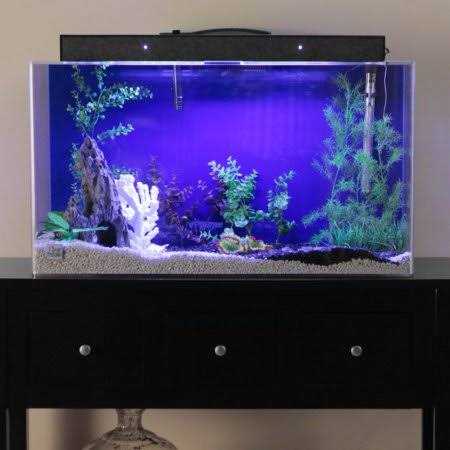 Clear for Life Rectangle Aquarium - Pet Supplies online store