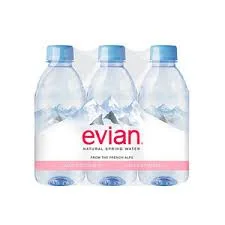Evian - Spring Water - 500 mL (2 Plastic Bottles)