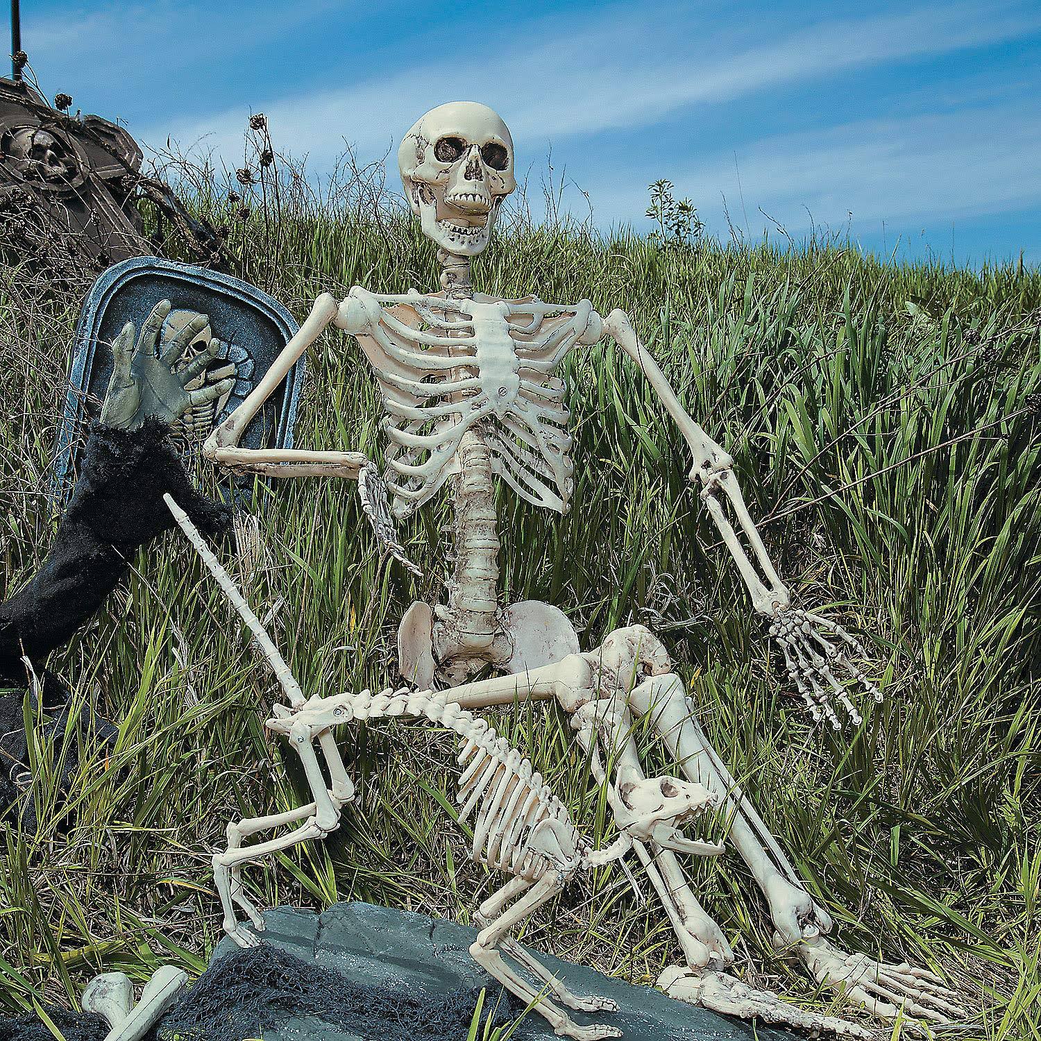 Life Size Posable Skeleton Halloween Decoration