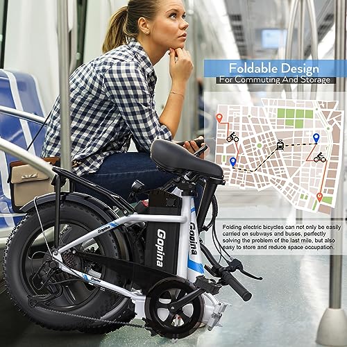 Vivi Gopina Electric Bike, 16" x 3.0 Fat Tire Electric Bike, 350W Step Thru Electric Bicycle, 48V Removable Battery, Up to 40 Miles, LCD Display, 20mph, 7 Speed, UL 2849 Certification