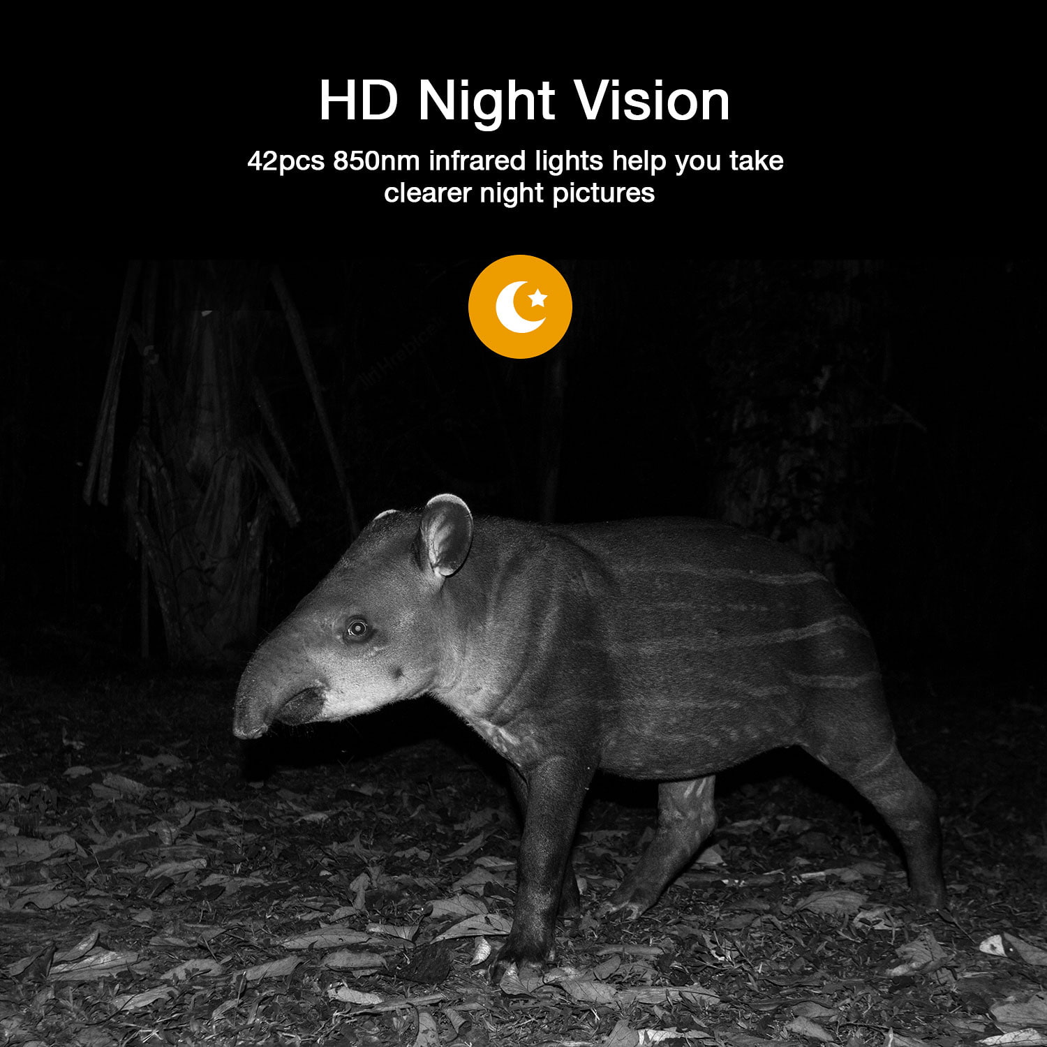 CAMPARK 2 PACK Trail Camera 4K 20MP Hunting Game Camera with infrared Night Vision 44pcs 940nmn 120°Wide-Angle Waterproof 2.4" LCD Trail Cam for Wildlife Monitoring