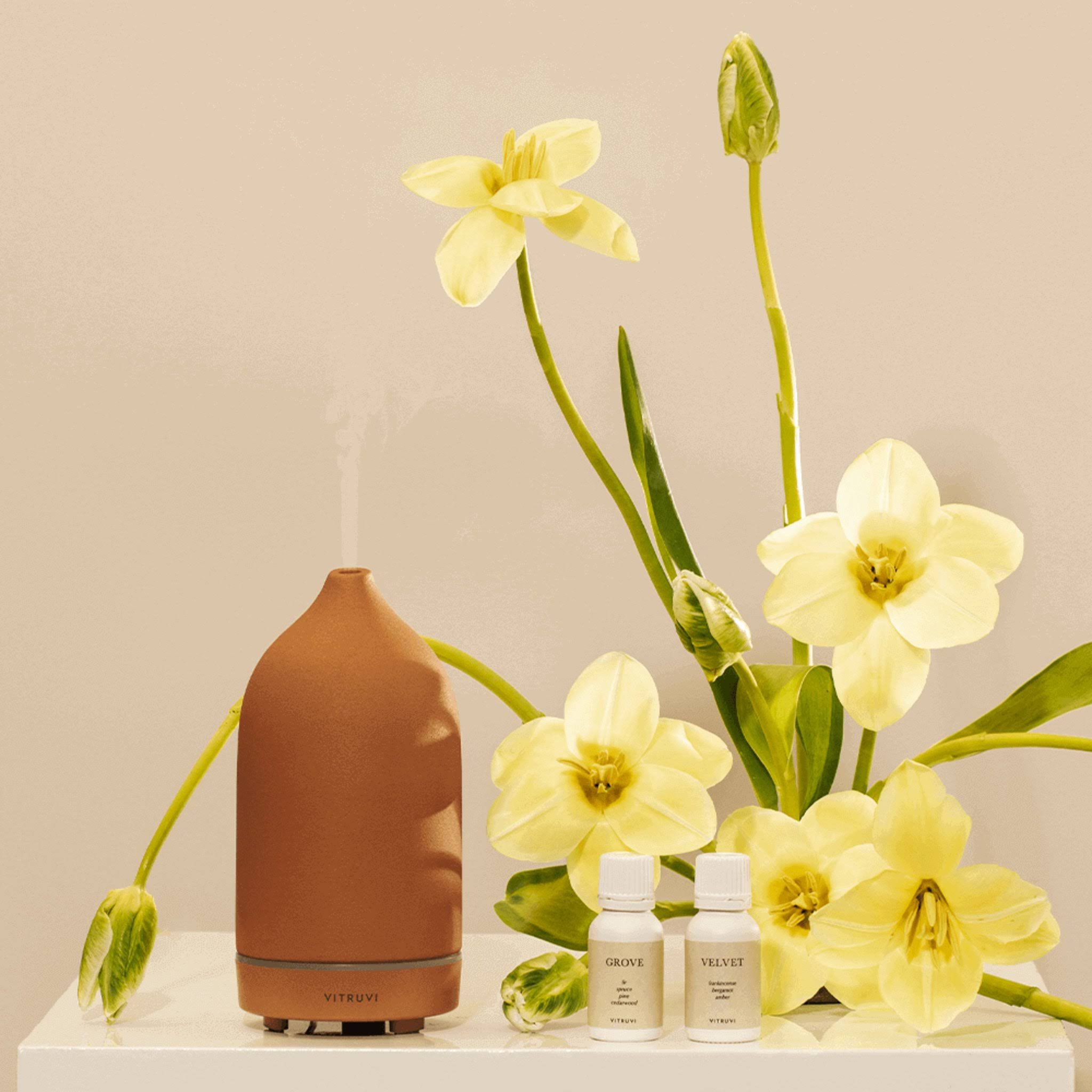 Vitruvi Stone Diffuser
