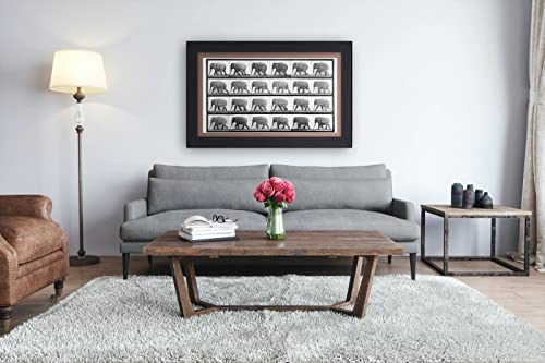 Frame My TV Deco TV Frames - Black Smart Frame Compatible ONLY with Samsung The Frame TV