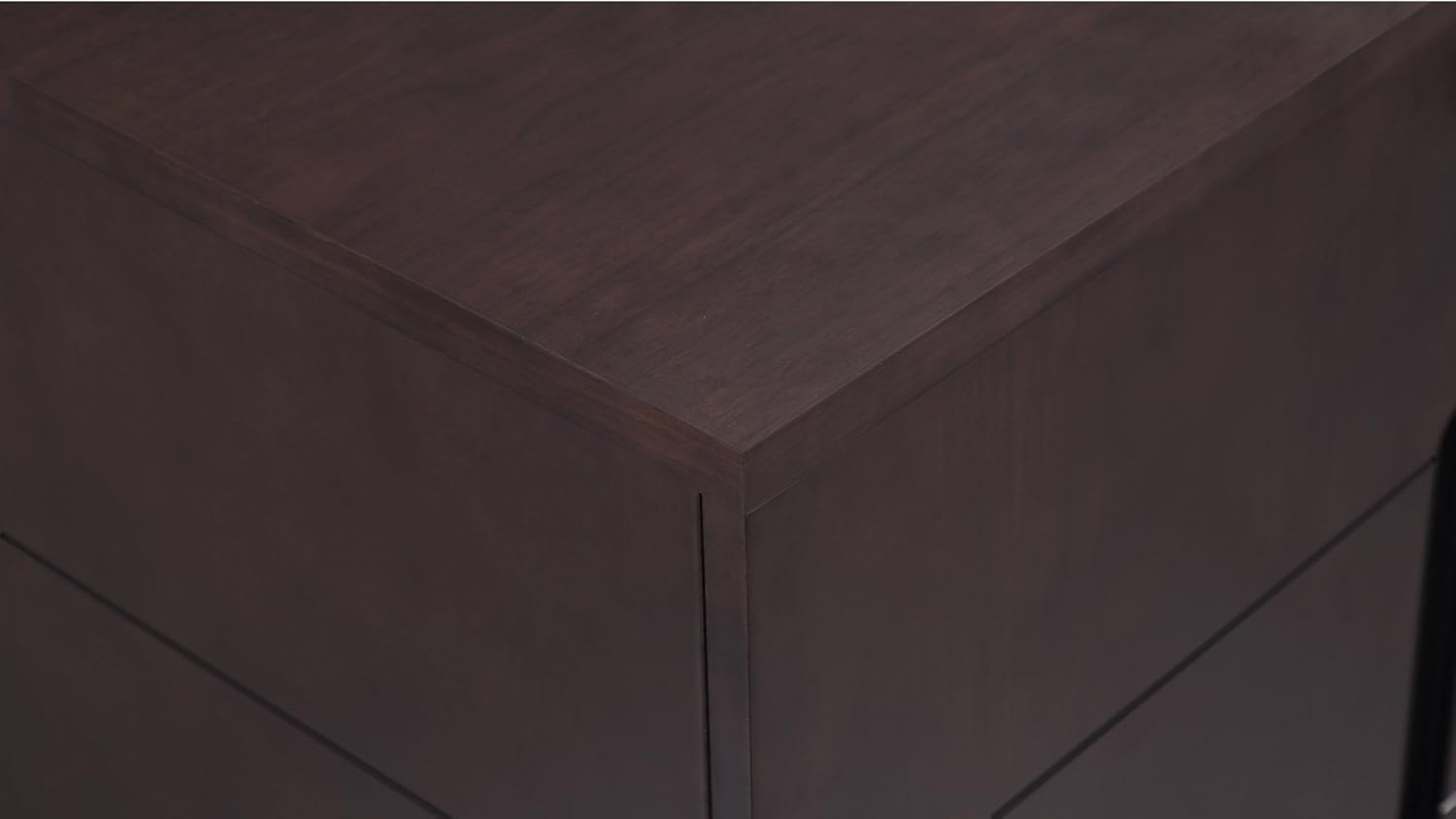 Hayes Modern 2 Door Storage Printer Cabinet - Dark Walnut