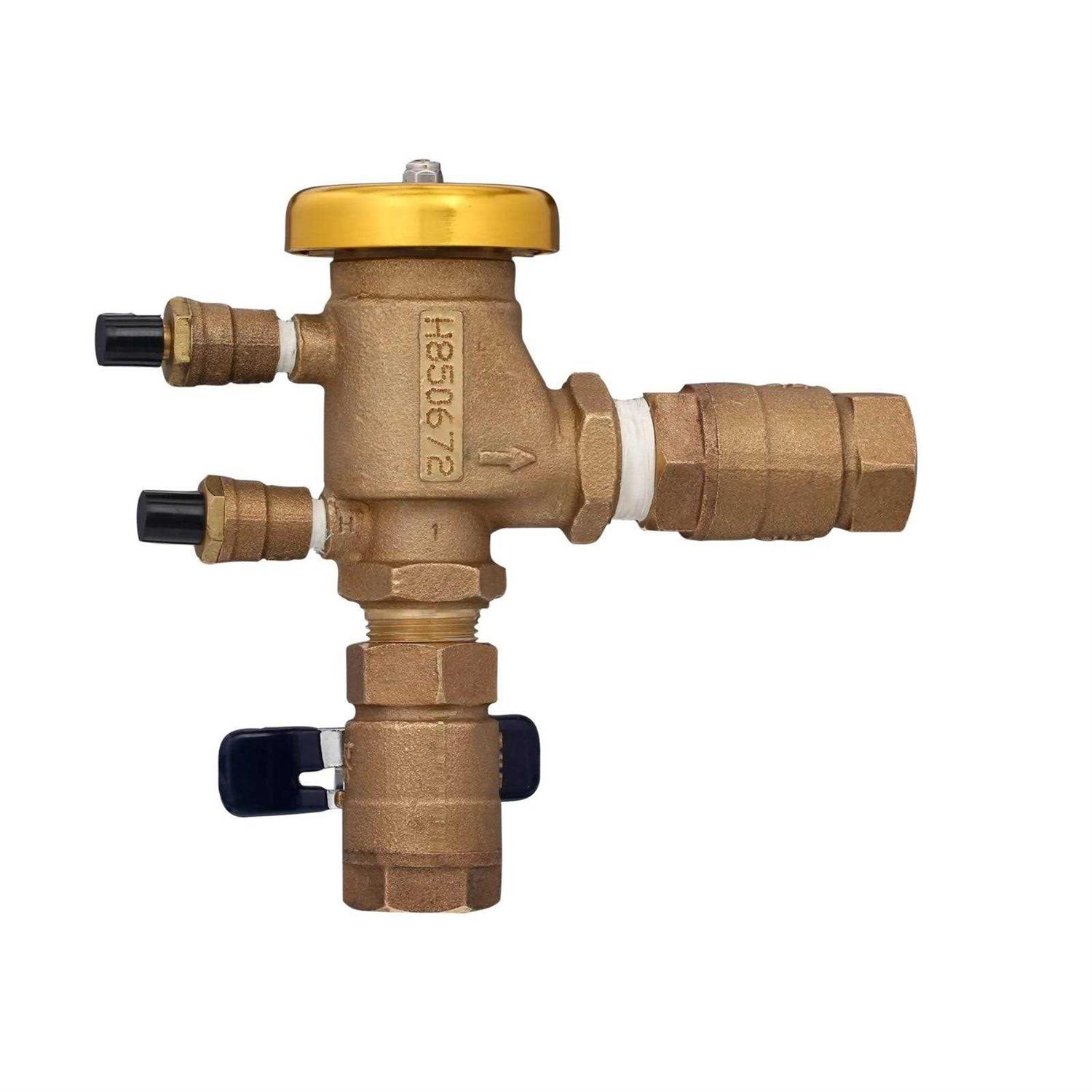 Febco 765 1 in. Pressure Vacuum Breaker