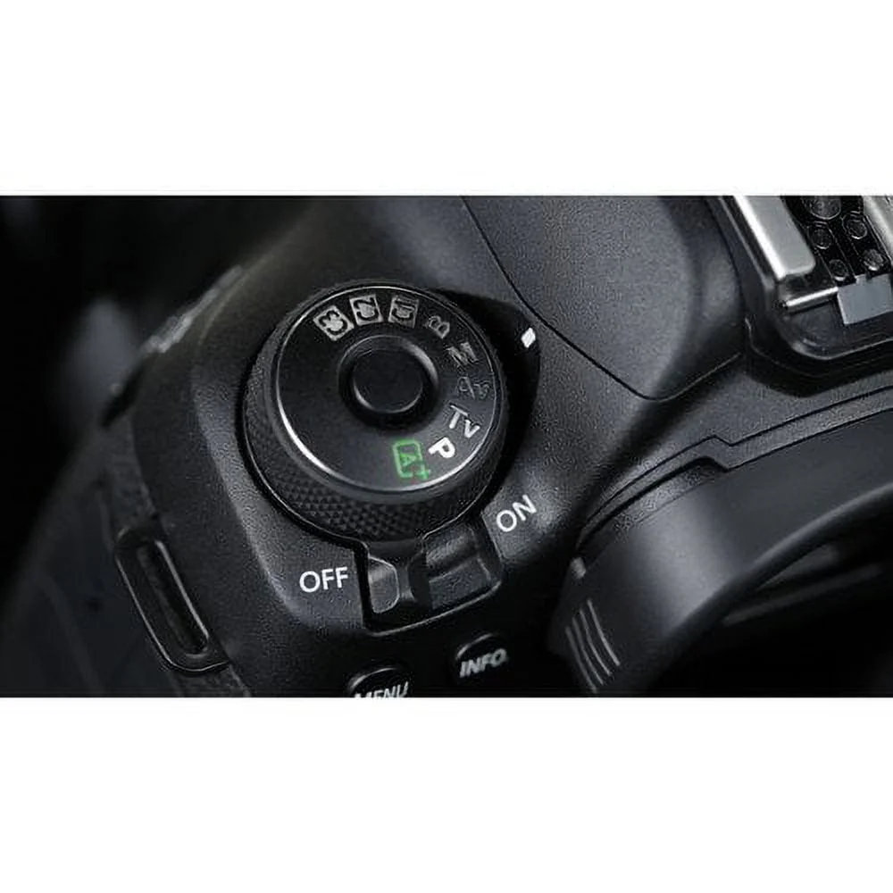 Canon EOS 5D Mark IV DSLR Camera with 24-105mm f/4L II Lens (Intl Model) W/ Bag, Extra Battery, LED Light, Mic, Filters and More - Advanced Bundle