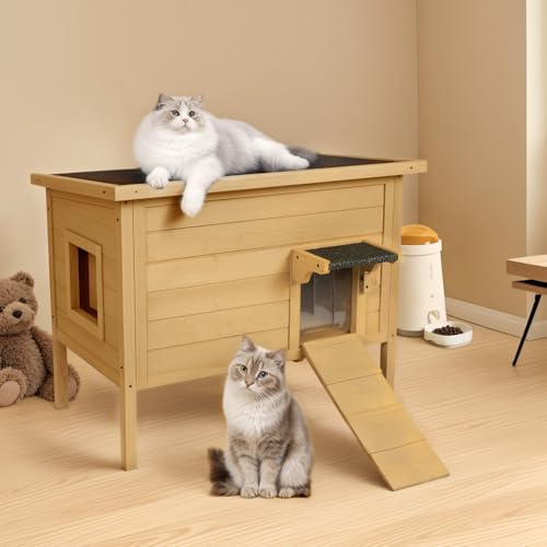 BRIOPAWS Outdoor-Cat-House-Insulated | Feral-Cat-Shelter for Winter | Weatherproof | Large Wooden Pet House for Multiple Cats | Foldable Ladder | Acrylic Side Window | Grey