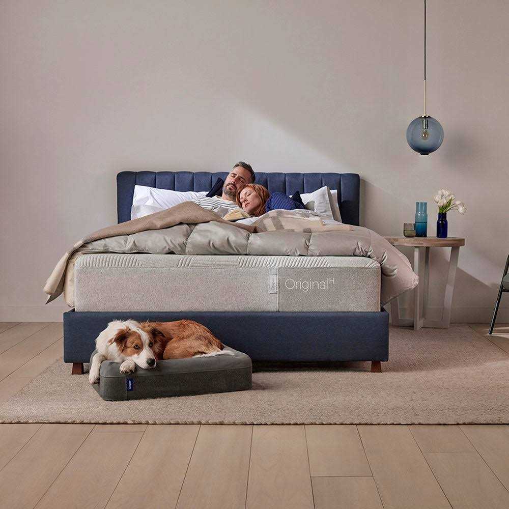 Casper Dog Bed - Pet Supplies online store