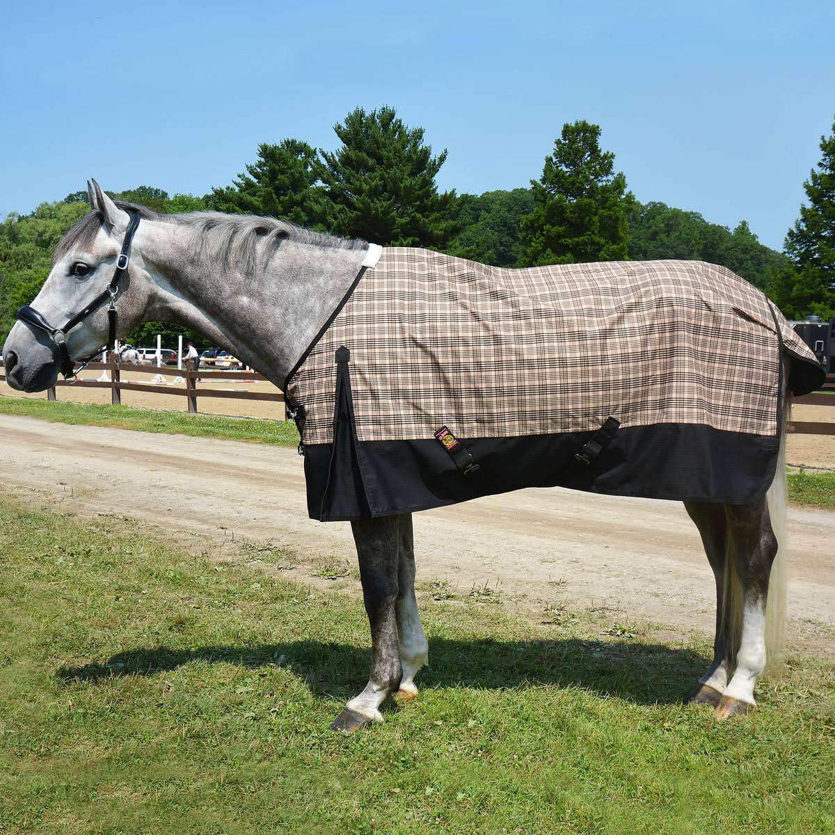 Baker Black Label 200g Medium Weight Turnout Blanket
