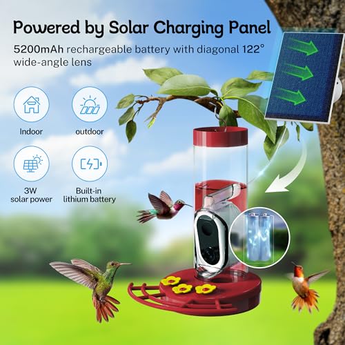 TT NATURE Smart Hummingbird Feeder with Camera Solar-Powered, AI Identify&Cloud Storage,Wireless App, Bee and Ant Defense,HD Video for Watching Birds Outdoors(20 Ounces)