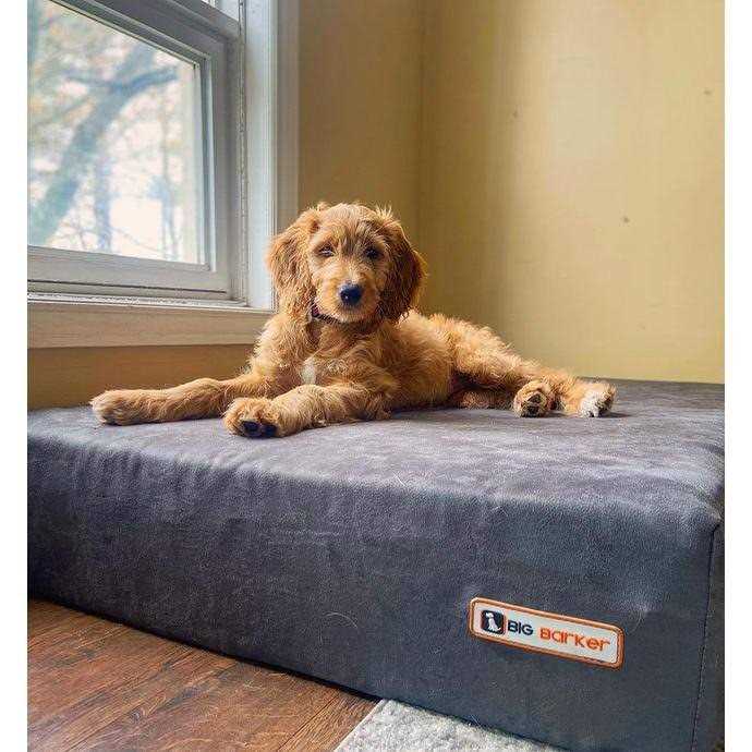 Big Barker Headrest Pillow Top Orthopedic Dog Bed - Pet Supplies online store