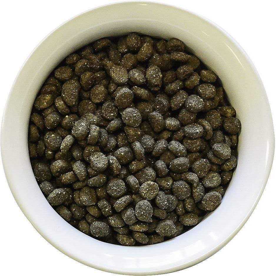 Nature's Logic Canine Chicken Meal Feast Dry Dog Food - Pet Supplies online store