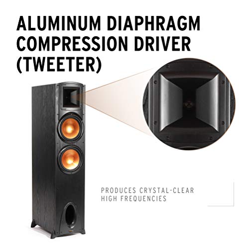 Klipsch Synergy Black Label F-300 Floorstanding Speaker with Proprietary Horn Technology, Dual 8” High-Output Woofers, with Room-Filling Sound in Black