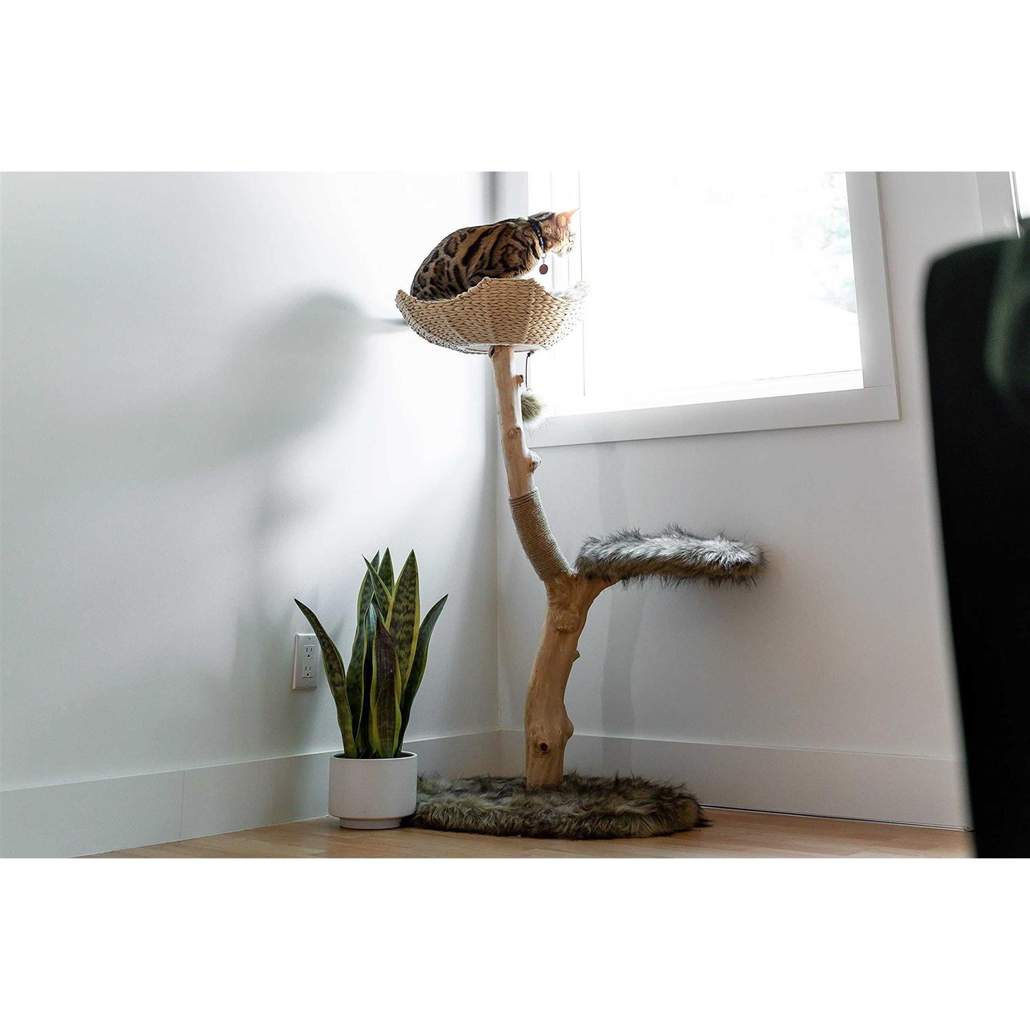 Mau Lifestyle Uni Cat Tree - Pet Supplies online store