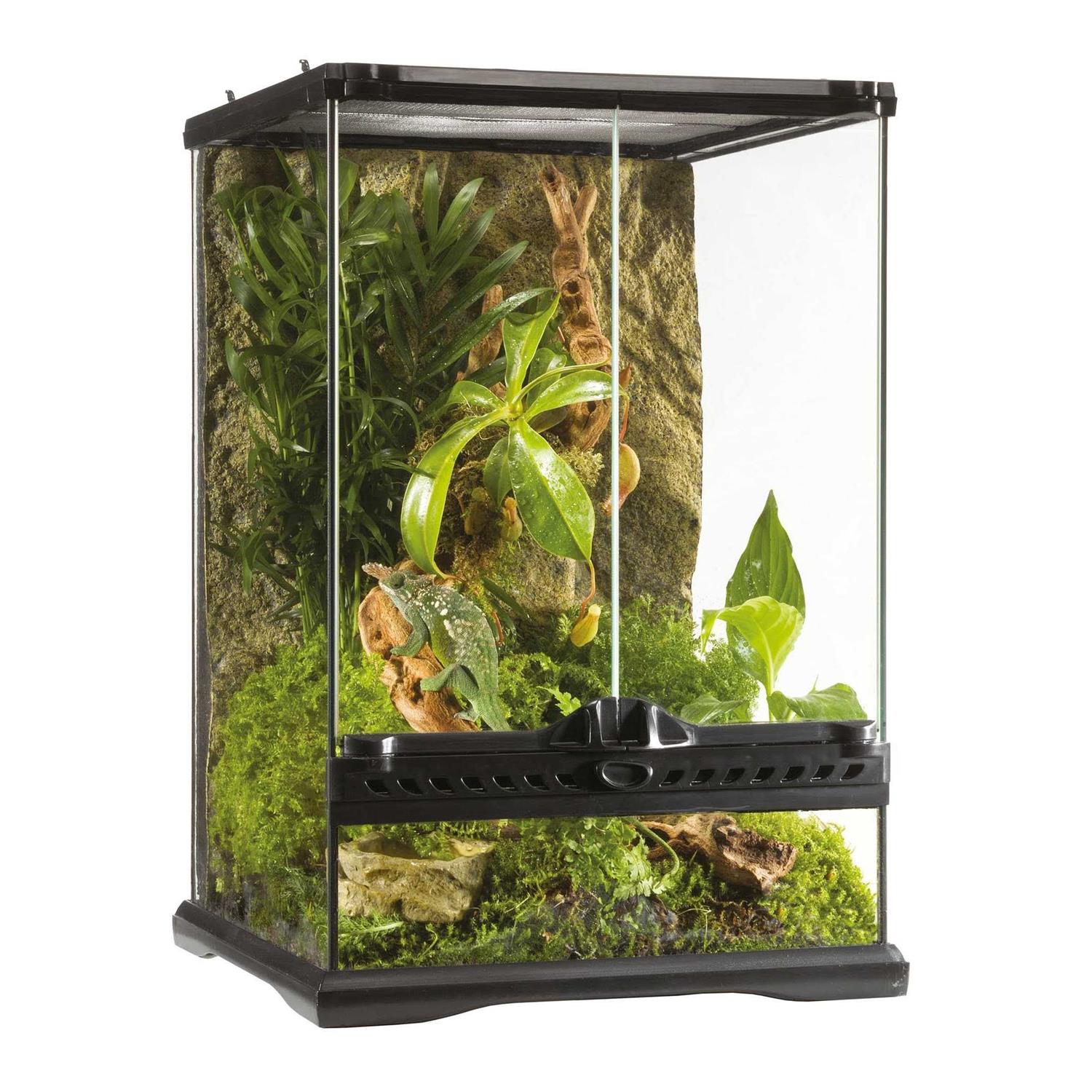Exo Terra Glass Terrarium - Pet Supplies online store