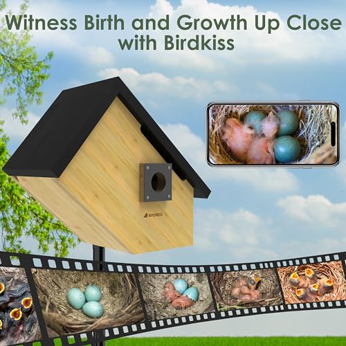 Smart Bird Houses for Outside Solar Powered, 1080P HD Live View Birdhouse with Camera, Perfect Viewing Bird Nesting and Hatching, Ideal Outdoors Bird House for Blue Bird and Cardinal (Black)