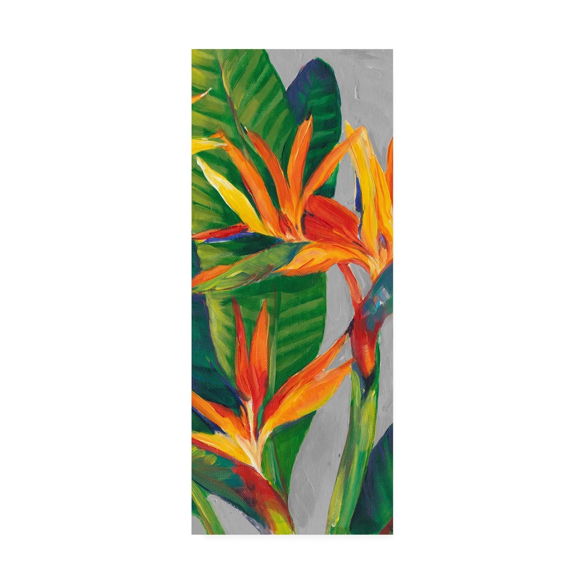 Porch u0026 den Tim OToole &Bird of Paradise Triptych II& Canvas Art 10x24
