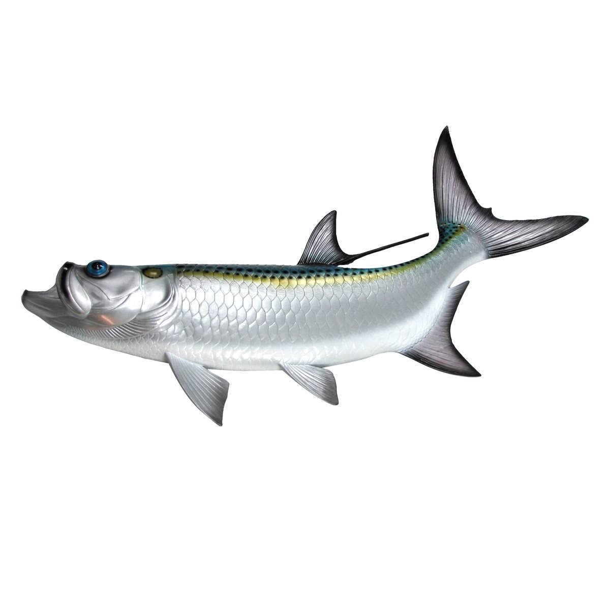 Treasure Gurus 48x22 Tarpon Saltwater Trophy Taxidermy Wall Mount Fish Hand Painted Lifelike Plaque