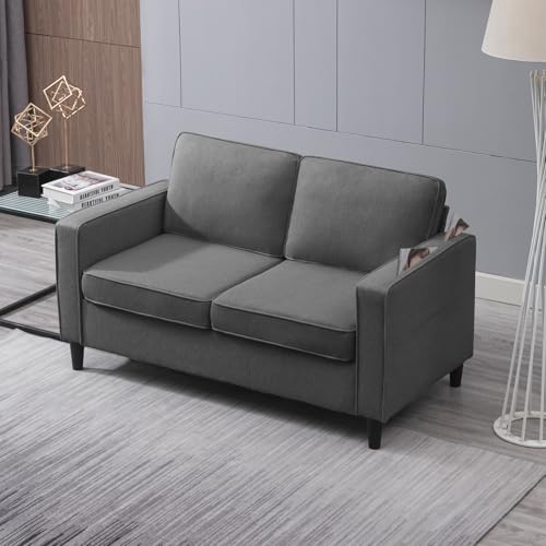Loveseat Sofa Small Love Seat Couches for Small Spaces,54" Loveseat Sofa Small Couch Two Seats Modern Comfy Couch for Bedroom and Living Room Office Appartment