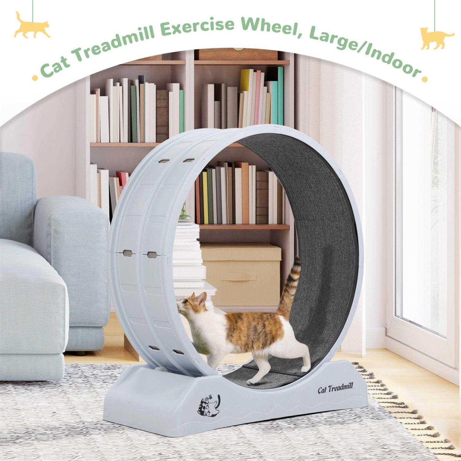 Coziwow31.5L Cat Exercise Wheel Indoor Cat Treadmill with Locking Mechanism - Pet Supplies online store