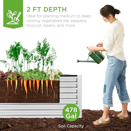 Best Choice Products 8x4x2ft Outdoor Metal Raised Garden Bed, Deep Root Planter Box for Vegetables, Flowers, Herbs, and Succulents w/ 478 Gallon Capacity - Gray