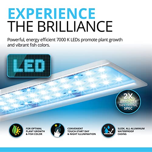 Fluval SPEC Freshwater Aquarium Kit, Aquarium with LED Lighting and 3-Stage Filtration