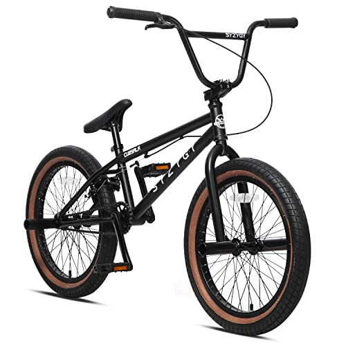 Syzygy 20 Inch Freestyle BMX Bike Bicycles for Ages Over 6 Years Old Boys Teen and Beginner Riders, Multiple Color
