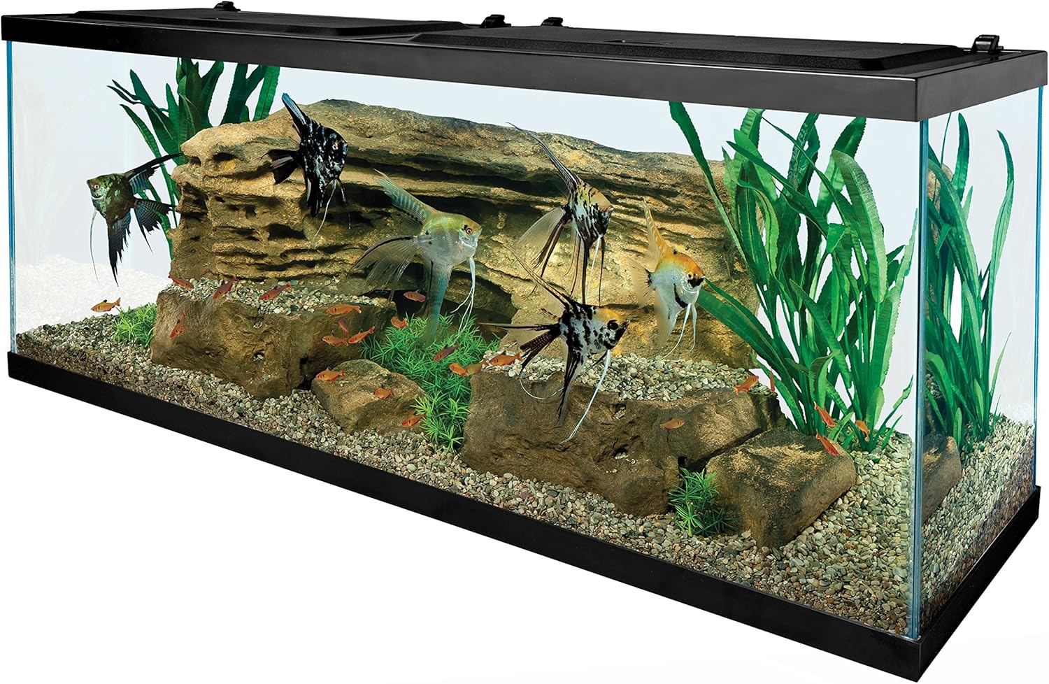 Tetra 55 Gallon Aquarium Kit with Fish Tank, Fish Net, Fish Food, Filter, Heater and Water Conditioners & Penn-Plax Standard Airline Tubing for Aquariums – Clear and Flexible – Resists Kinking