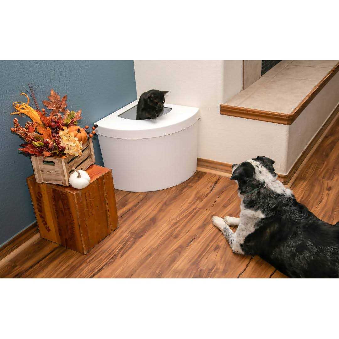Standard Litter Box Kitangle - Pet Supplies online store