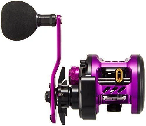 Daiwa Baitcasting Reel Kyohga 100Sh