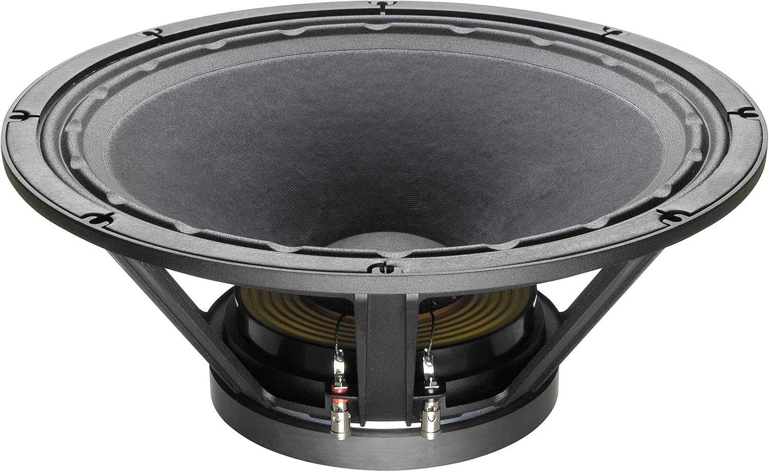 CELESTION FTR184080FD FTR Series 18-Inch 1000-Watt Subwoofer, Black