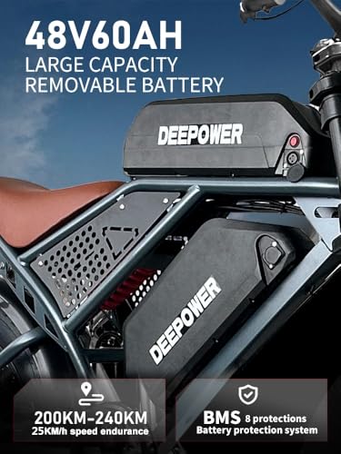 Electric Bike for Adult,1500W Peak Brushless Motor 30 MPH Fat Tire E Bike with 624-2880Wh Removable Battery 20" Electric Dirt Bike with Dual Suspension and 7-Speed