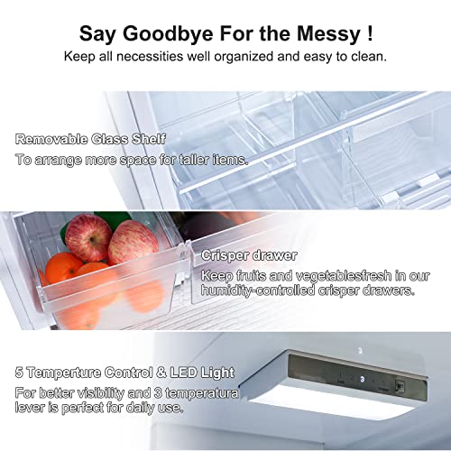 Frestec 2 Door Refrigerator with Freezer