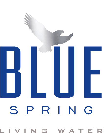 Blue Spring Natural Spring Water, Ph Balanced, Bottled Water, 4 Gallons per Case